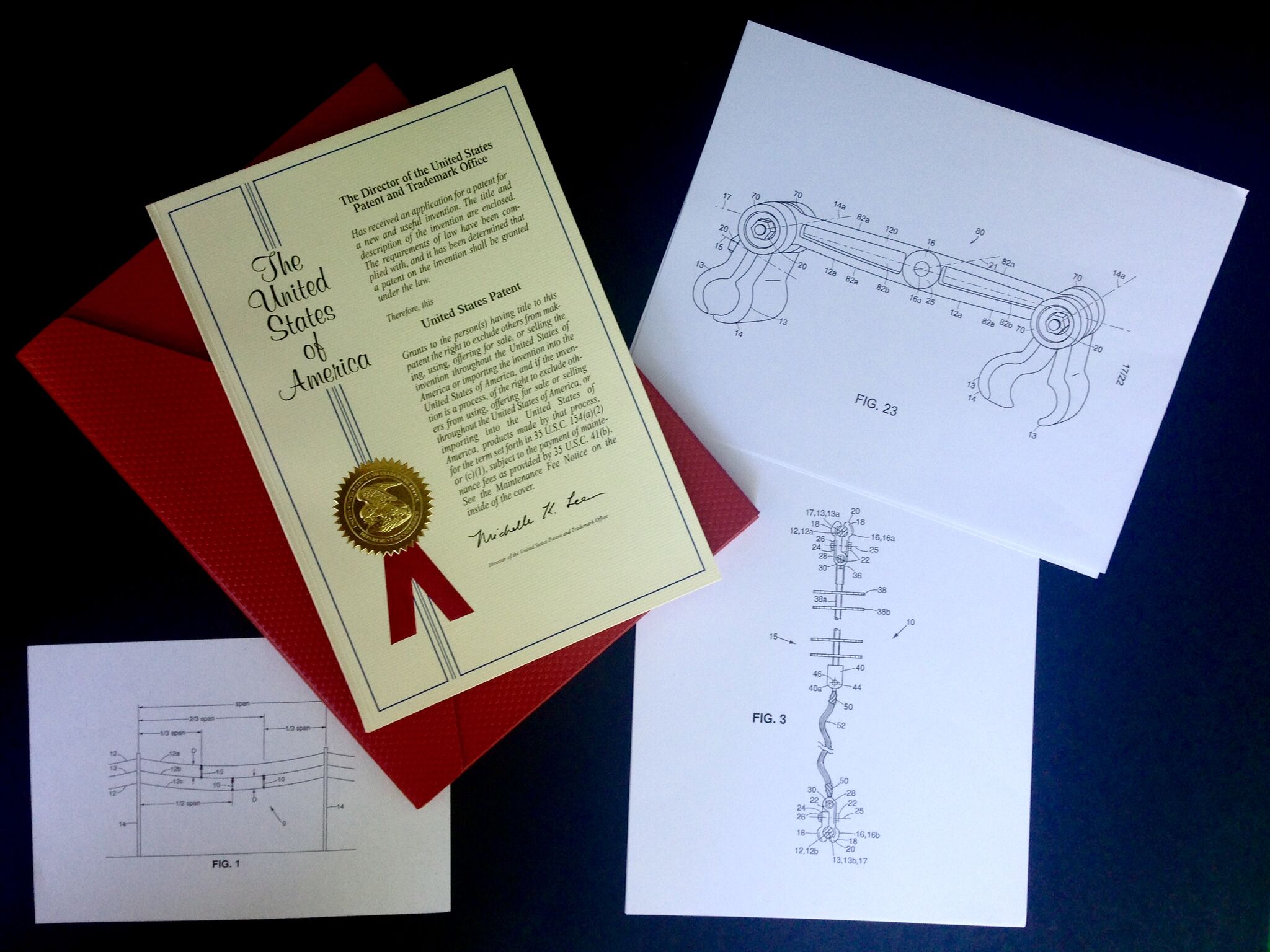 Image-Patent LP Anti Galloping Devices Patents